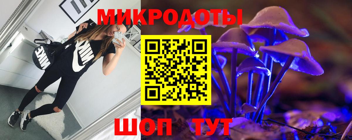 Шахты  Галлюциногенные грибы Psilocybine cubensis  Галлюциногенные грибы Psilocybine cubensis  Вход с VPN 