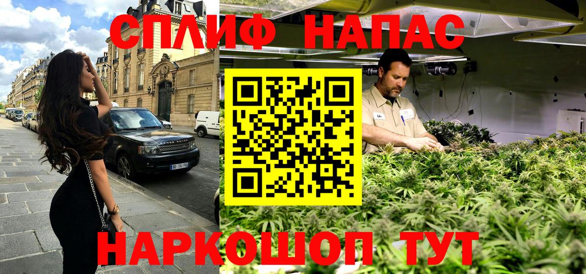 Бошки Шишки MAZAR Шахты